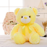 50cm Creative Light Up LED Teddy Bear